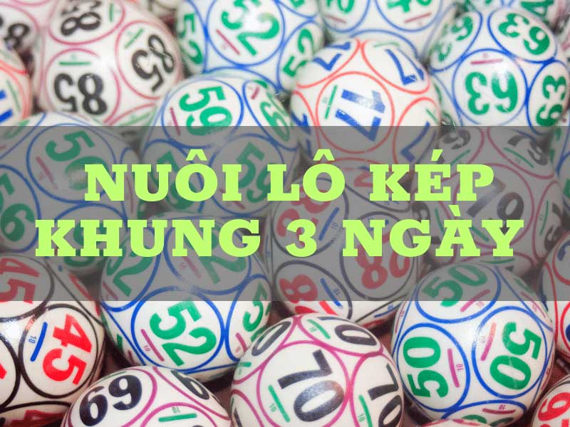 Các công cụ hỗ trợ tính toán lô kép nuôi khung 3 ngày