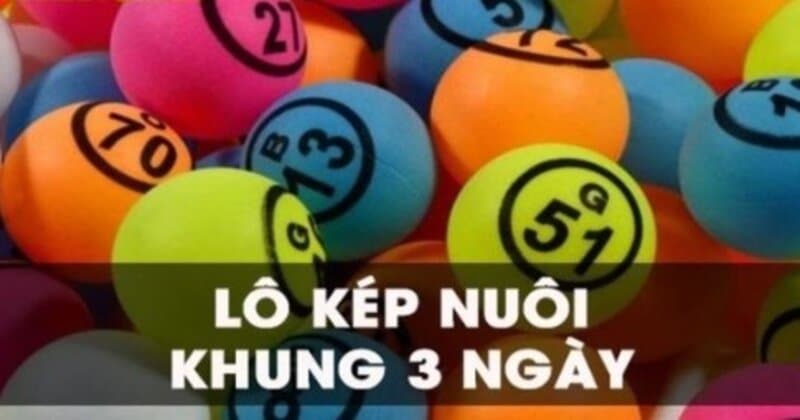 Lô Kép Nuôi Khung 3 Ngày Hướng Dẫn Chi Tiết & Bí Quyết